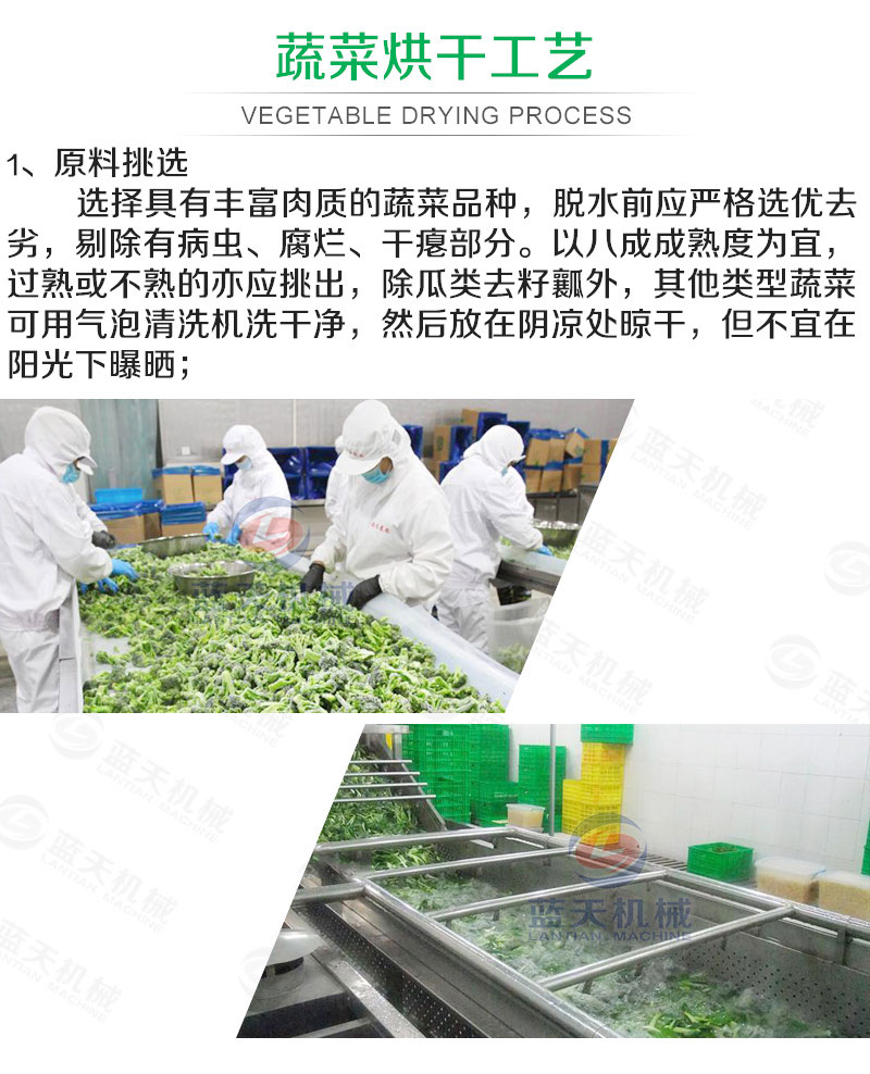 蔬菜網(wǎng)帶烘干機(jī)烘干工藝