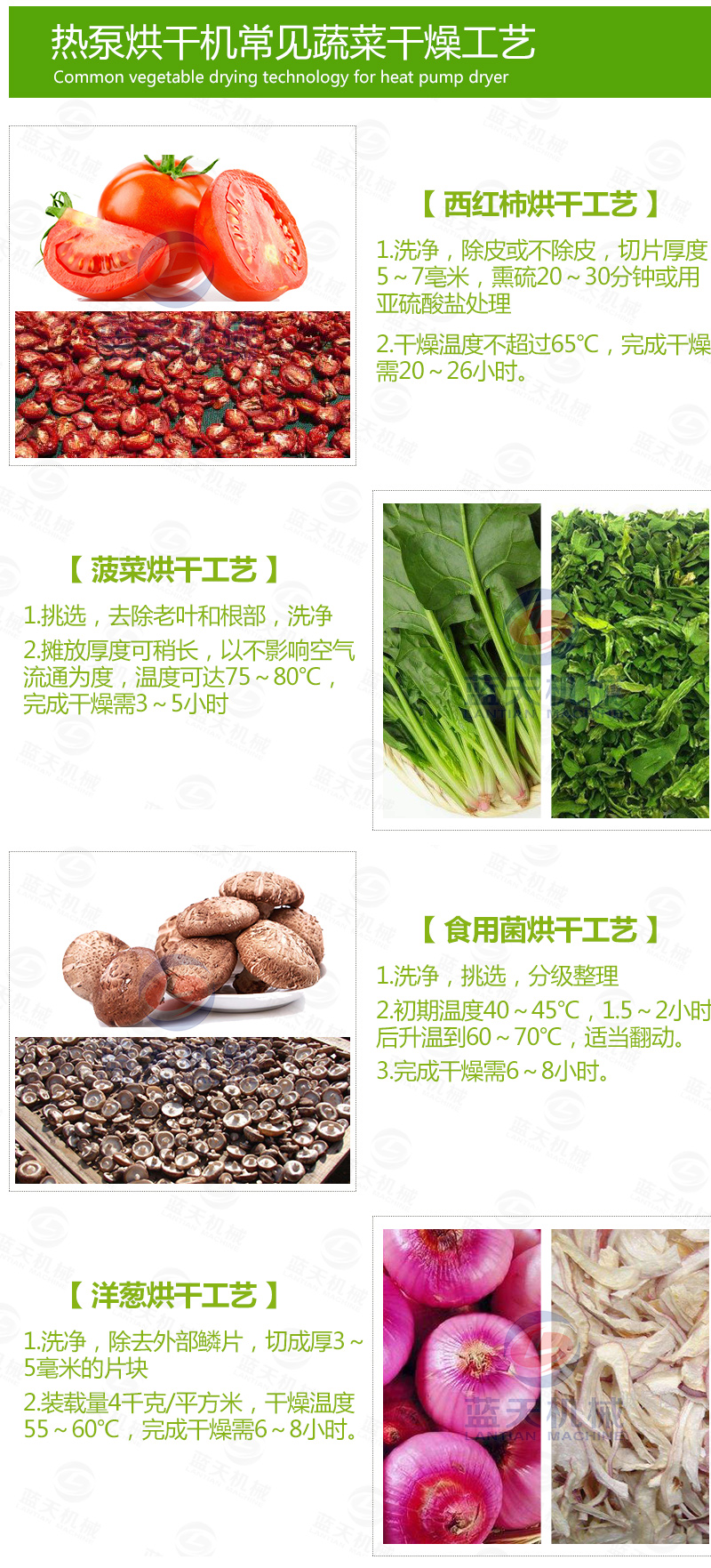 蔬菜網(wǎng)帶烘干機(jī)烘干工藝