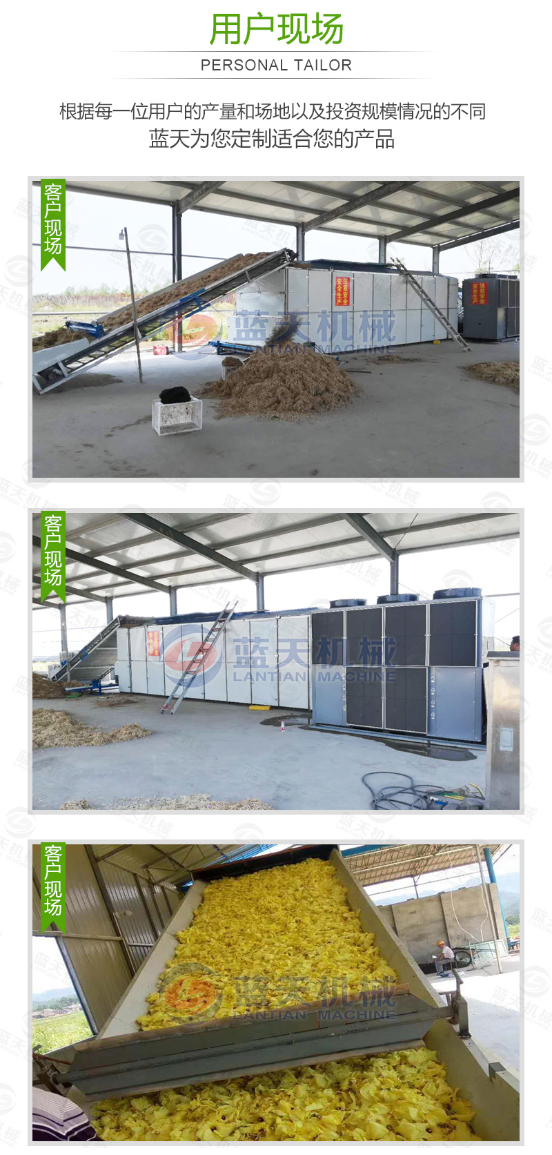 辣椒網(wǎng)帶烘干機(jī)用戶現(xiàn)場