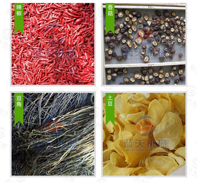 花椒網(wǎng)帶烘干機(jī)烘干效果