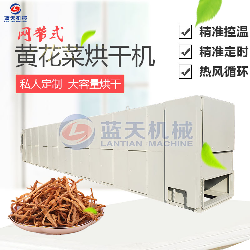 黃花菜網帶烘干機