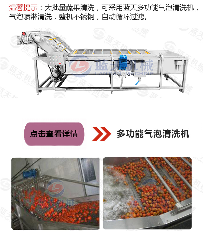 黃花菜網帶烘干機相關產品