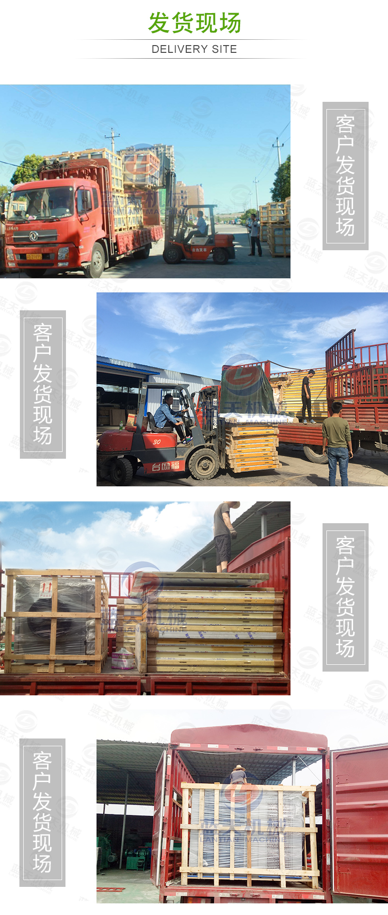 黃花菜網帶烘干機發(fā)貨現場