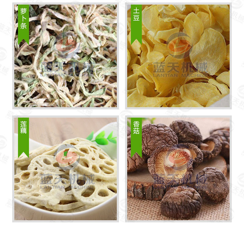 豆角網(wǎng)帶烘干機(jī)烘干效果