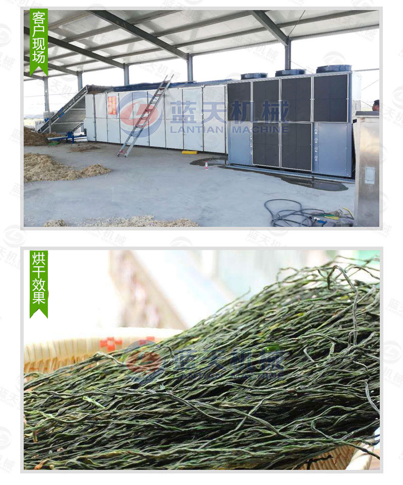 豆角網(wǎng)帶烘干機(jī)私人定制