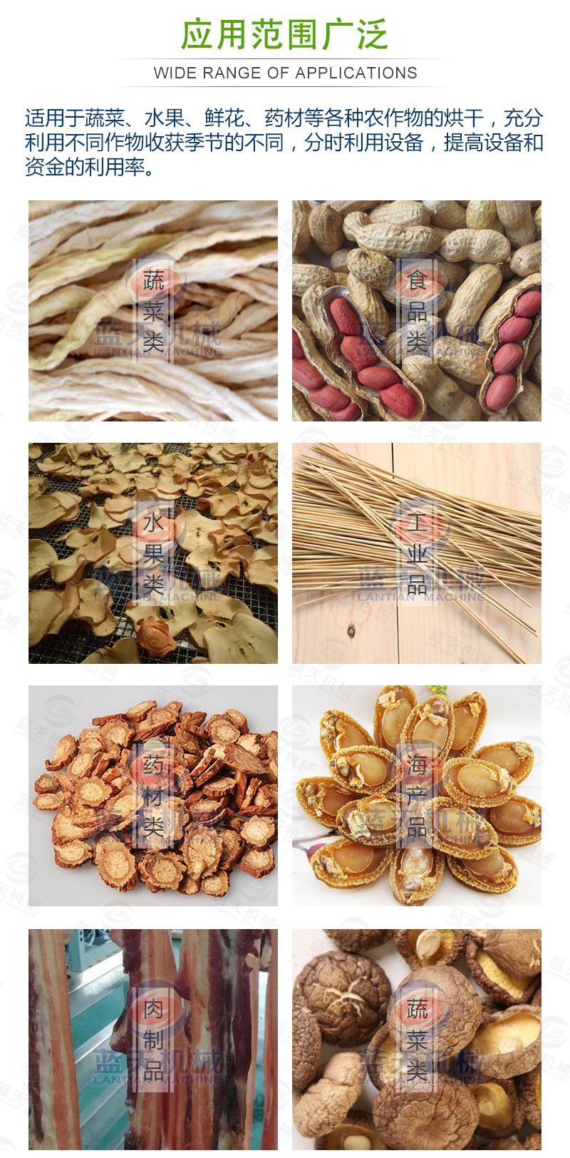 豆角網(wǎng)帶烘干機(jī)應(yīng)用范圍