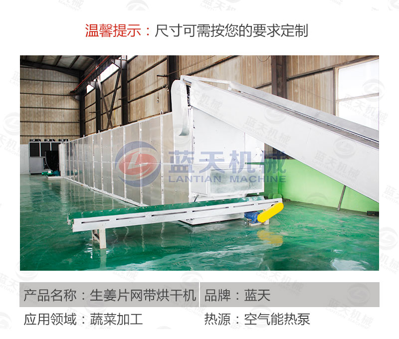 生姜片網(wǎng)帶烘干機產(chǎn)品參數(shù)
