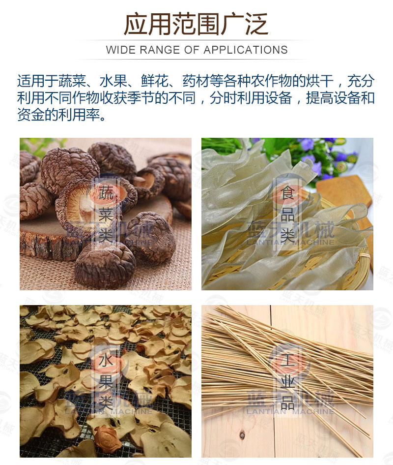生姜片網(wǎng)帶烘干機應用范圍