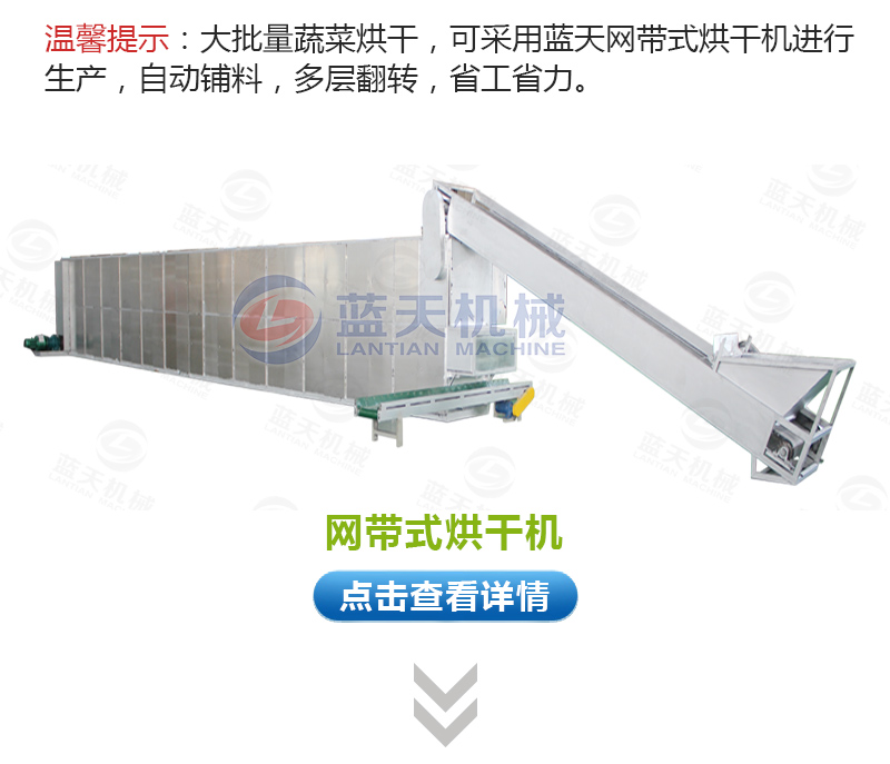  大蒜片網(wǎng)帶烘干機(jī)