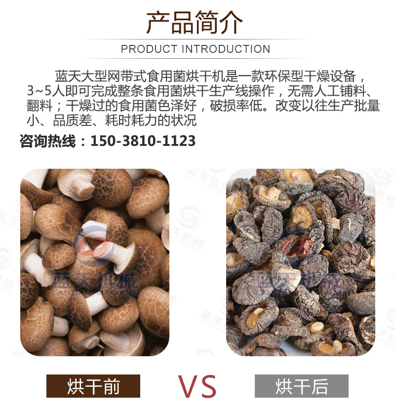 食用菌網(wǎng)帶烘干機(jī)產(chǎn)品簡介