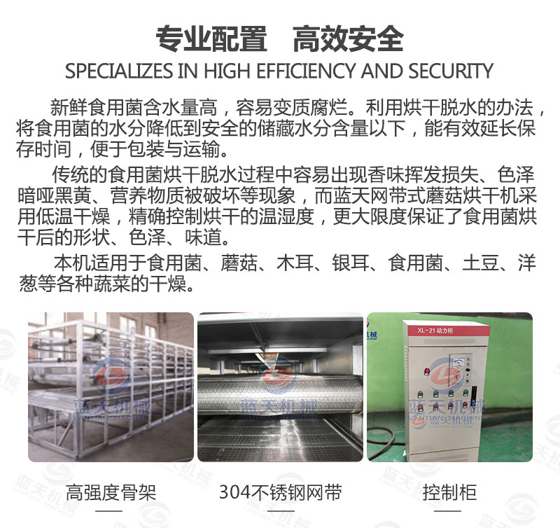 食用菌網(wǎng)帶烘干機(jī)專業(yè)配置