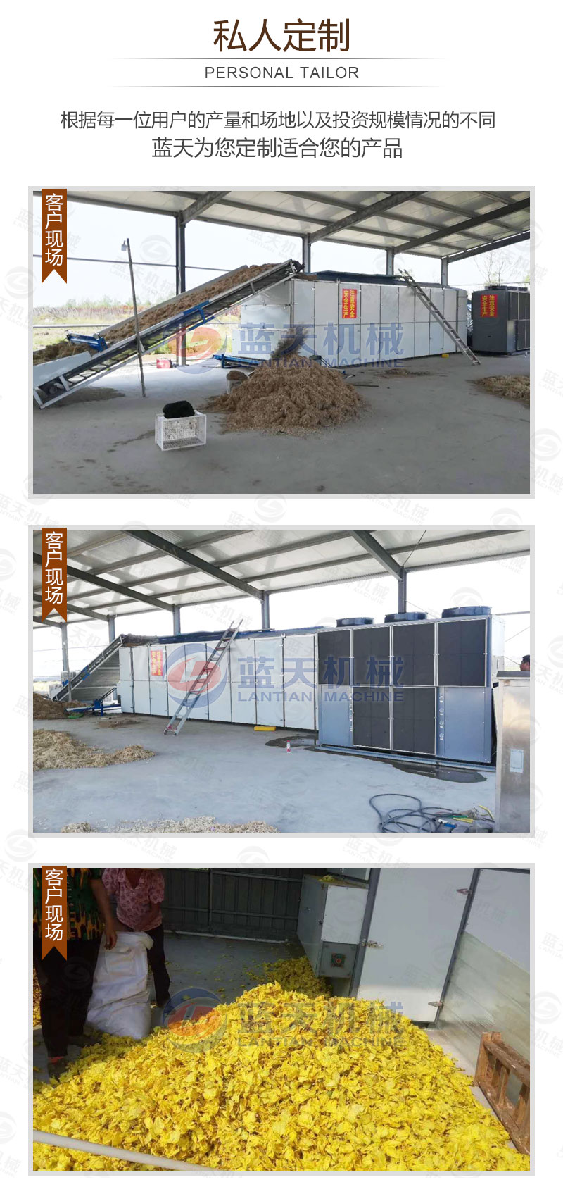 食用菌網(wǎng)帶烘干機(jī)私人定制