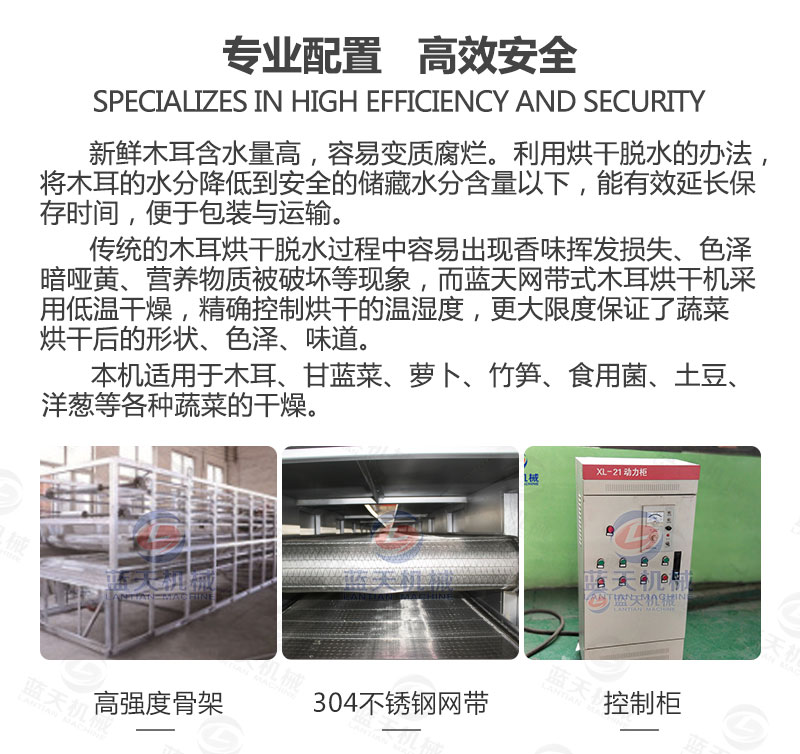 木耳網(wǎng)帶烘干機專業(yè)配置