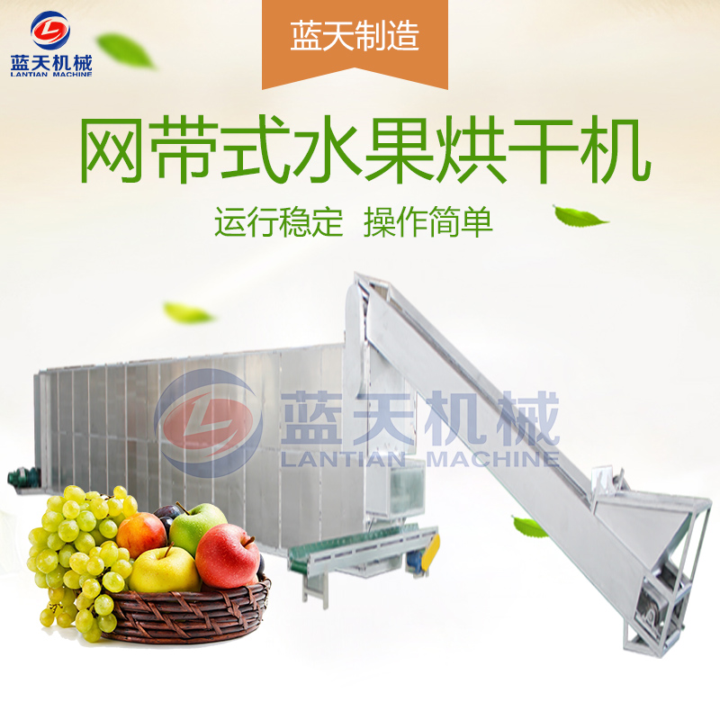 水果片網帶烘干機