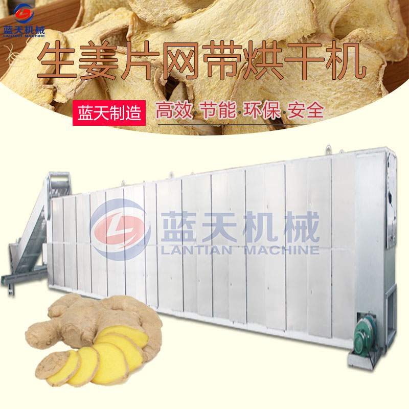 生姜片網(wǎng)帶烘干機