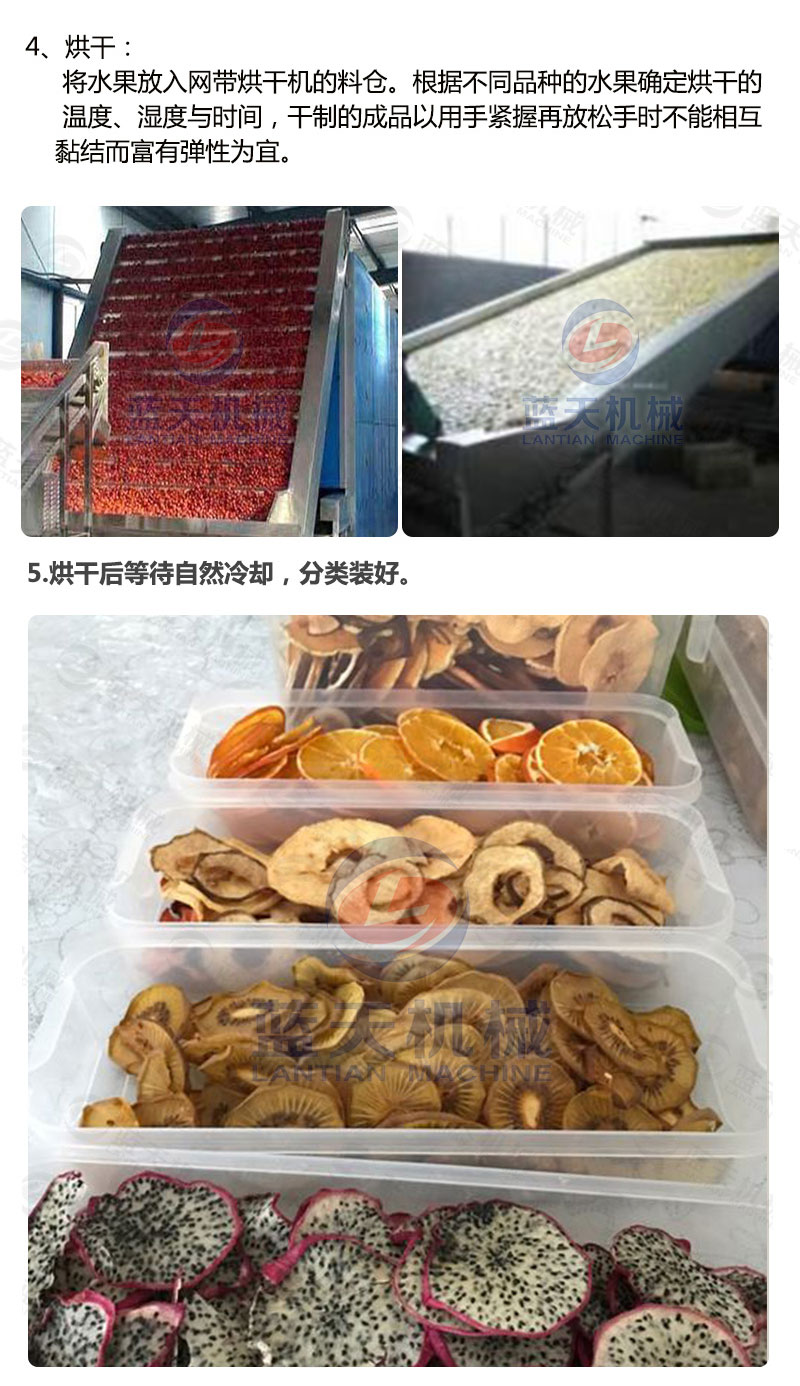水果片網帶烘干機烘干工藝
