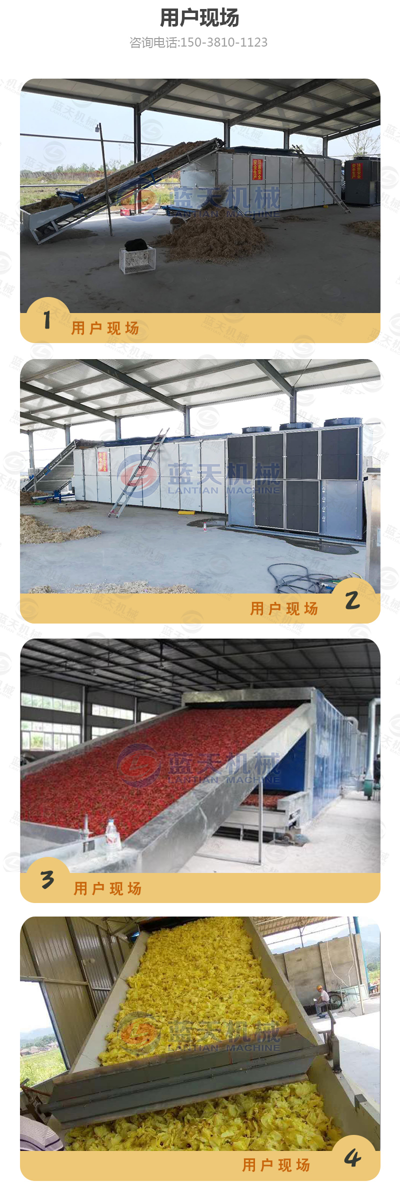 大棗網(wǎng)帶烘干機用戶現(xiàn)場