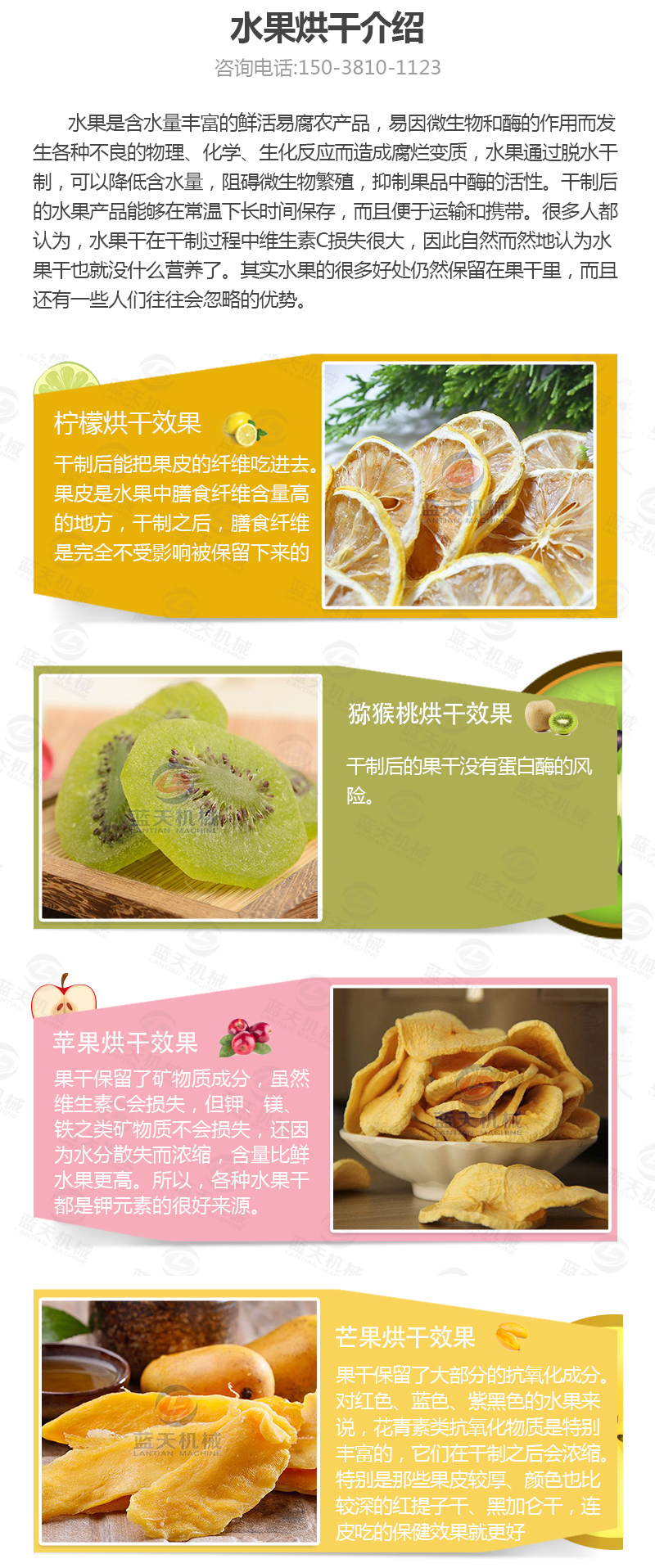 水果片網帶烘干機介紹