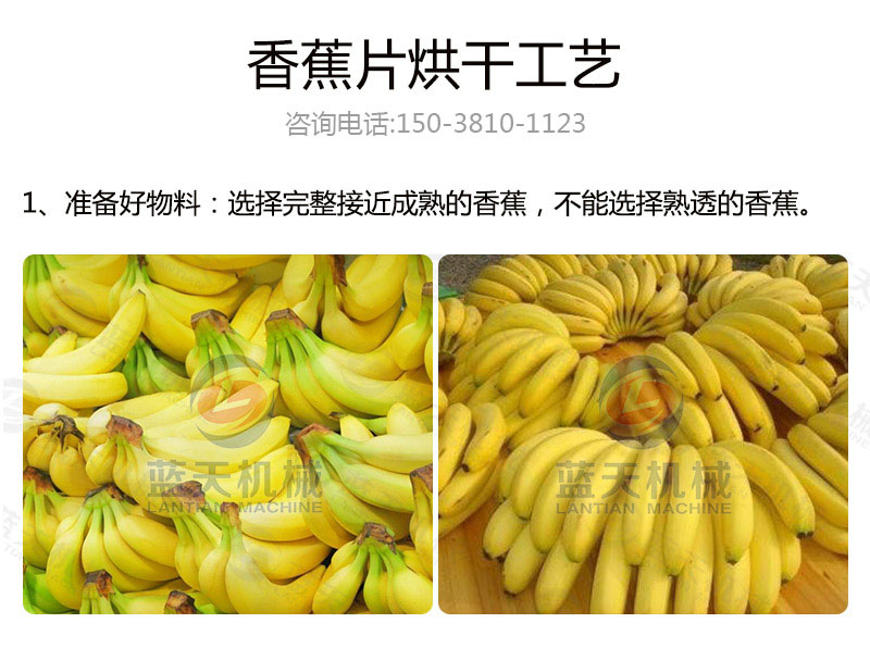 香蕉片網(wǎng)帶烘干機烘干工藝