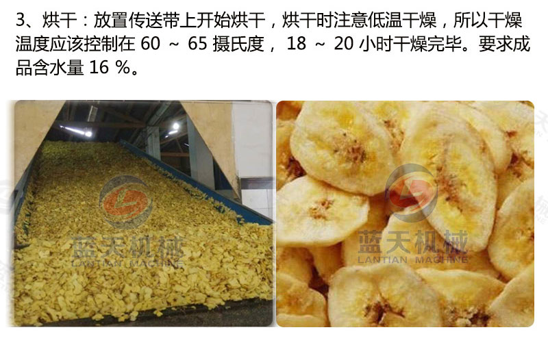 香蕉片網(wǎng)帶烘干機烘干工藝
