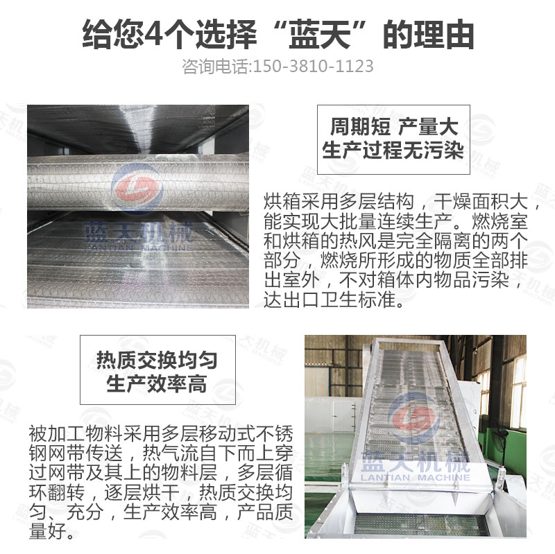 檸檬片網(wǎng)帶烘干機(jī)選擇藍(lán)天