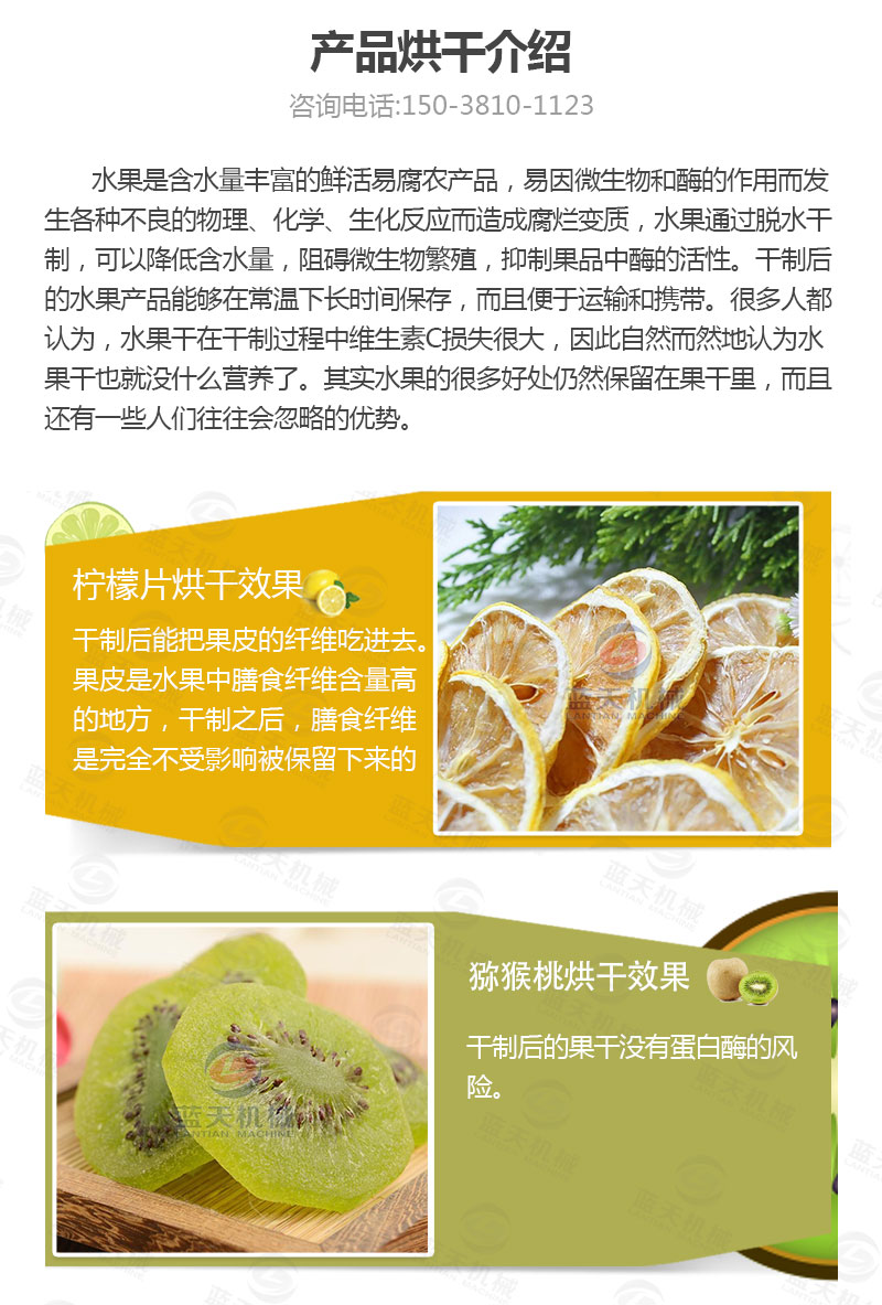 檸檬片網(wǎng)帶烘干機(jī)產(chǎn)品烘干