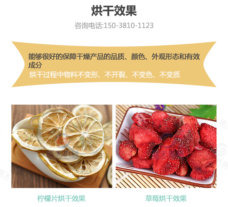 檸檬片網(wǎng)帶烘干機(jī)烘干效果