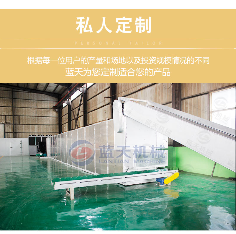 檸檬片網(wǎng)帶烘干機(jī)私人定制