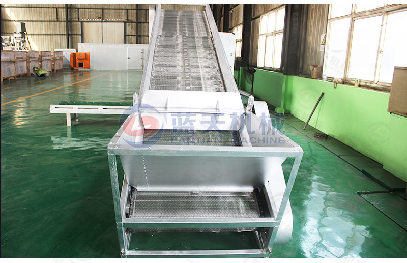 檸檬片網(wǎng)帶烘干機(jī)私人定制