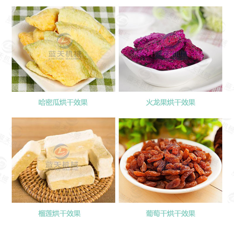 檸檬片網(wǎng)帶烘干機(jī)烘干效果