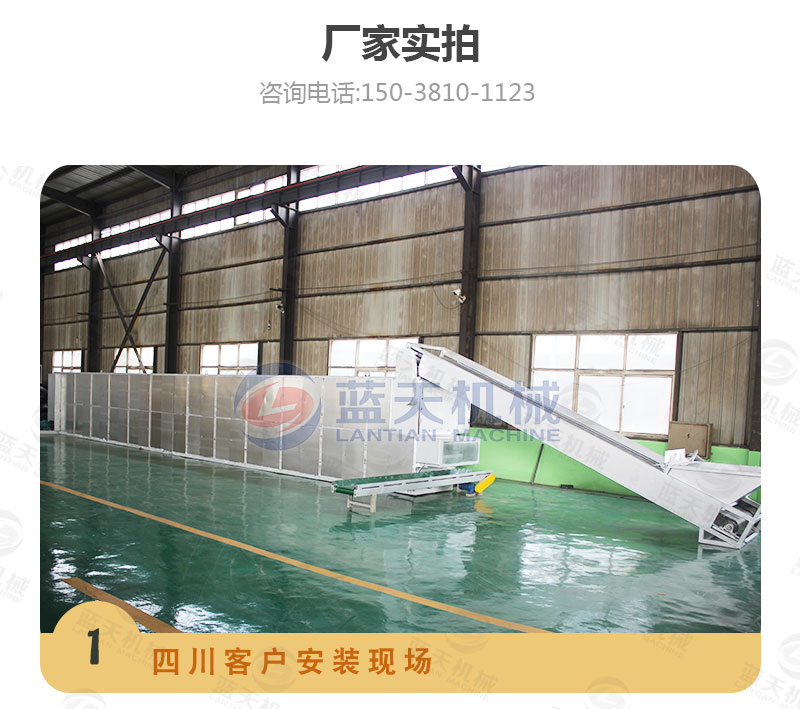 檸檬片網(wǎng)帶烘干機(jī)廠家實(shí)拍