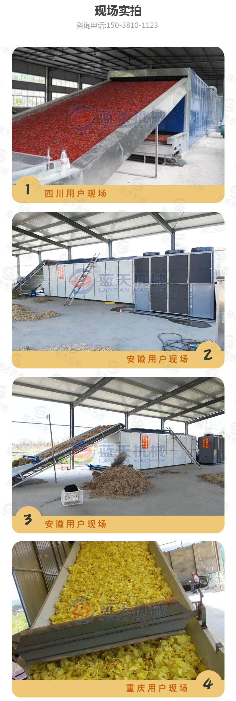 水果片網帶烘干機現場實拍