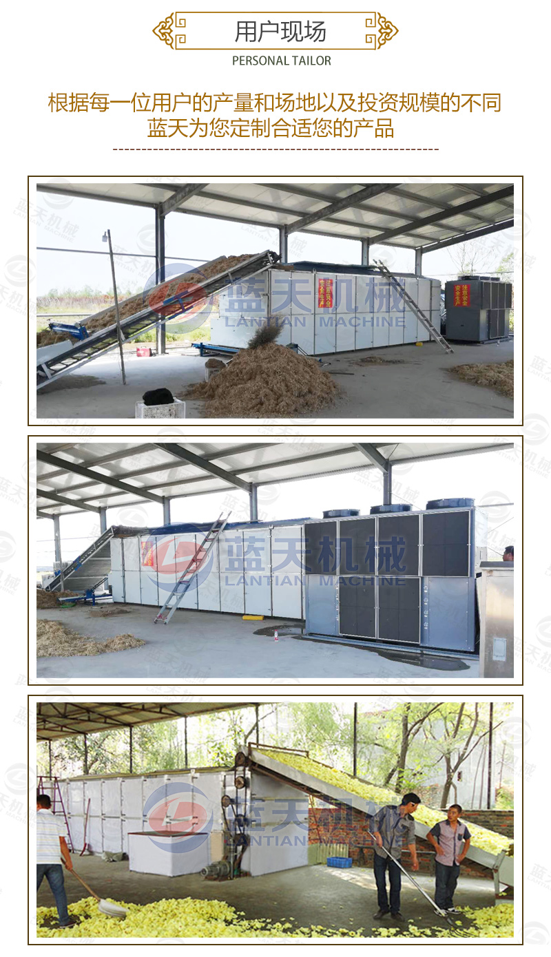 菊花網帶式烘干機用戶現(xiàn)場