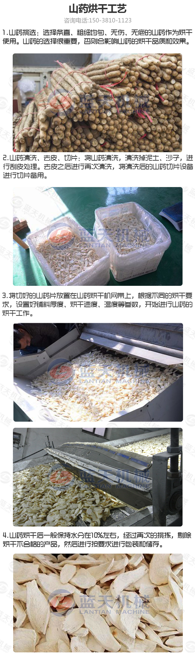 山藥片網(wǎng)帶式烘干機(jī)烘干工藝