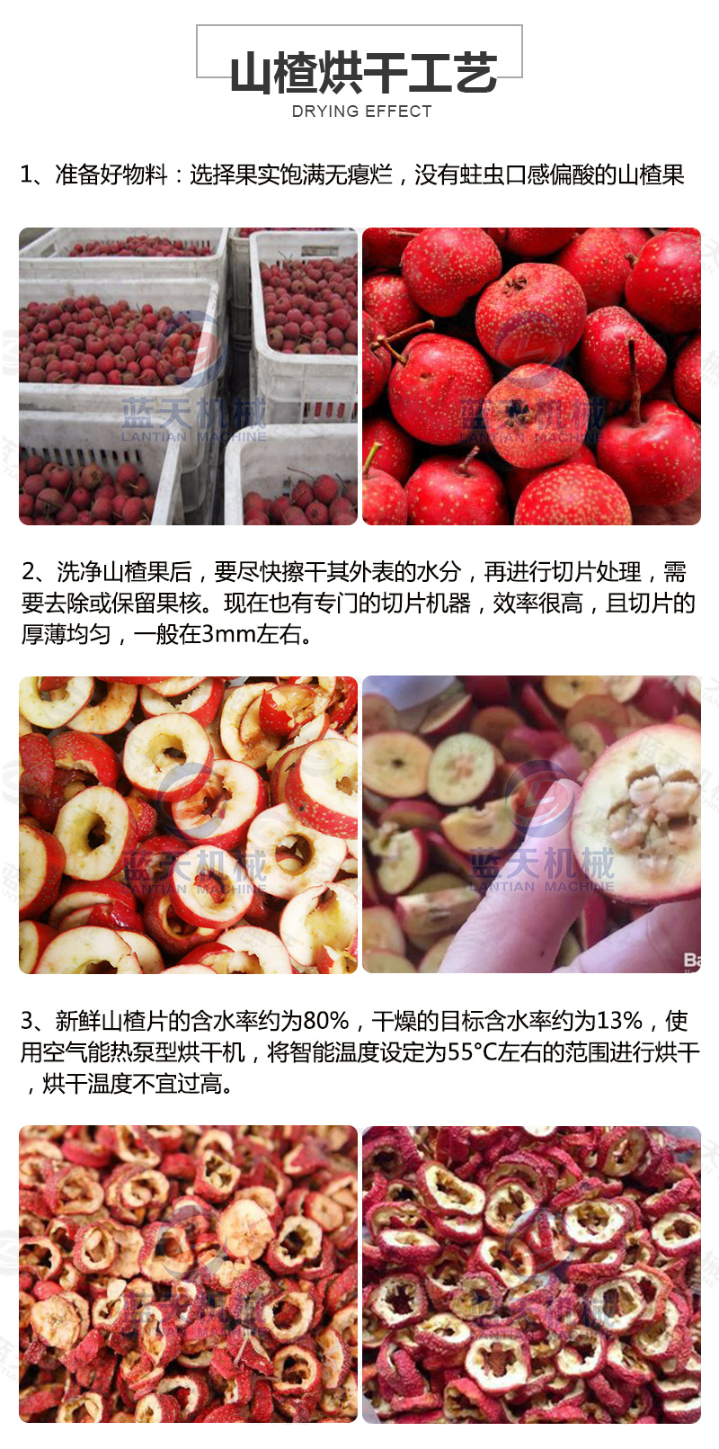 山楂片網(wǎng)帶烘干機(jī)烘干工藝