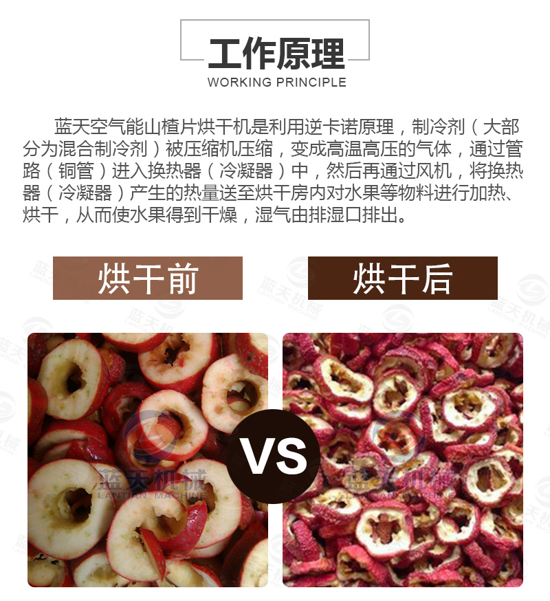 山楂片網(wǎng)帶烘干機(jī)工作原理