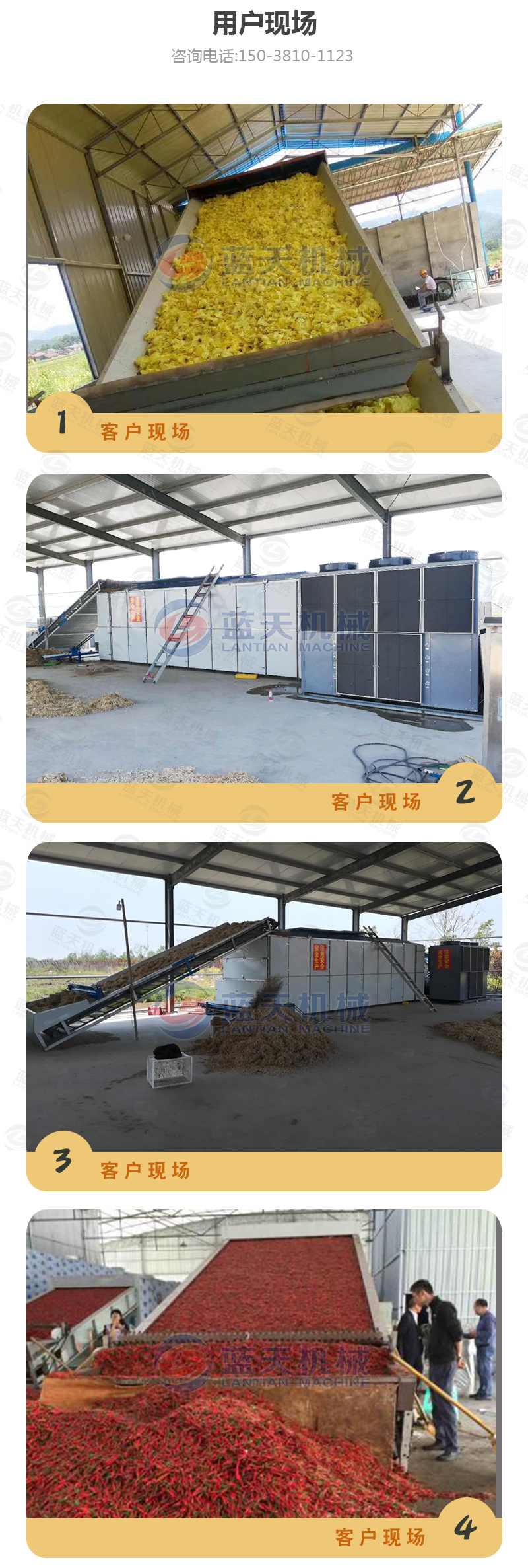 山藥片網(wǎng)帶式烘干機(jī)用戶現(xiàn)場(chǎng)