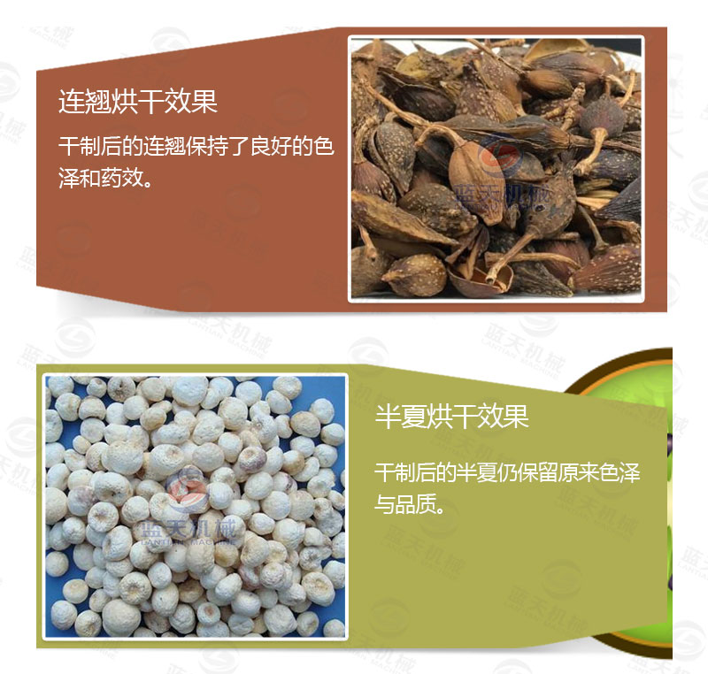 連翹網(wǎng)帶式烘干機(jī)產(chǎn)品烘干介紹