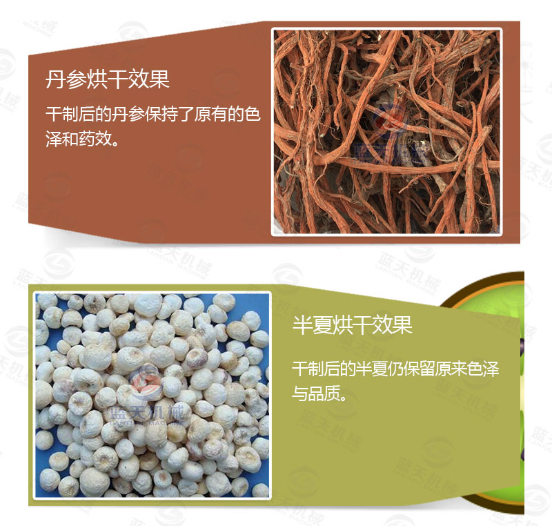 丹參網(wǎng)帶式烘干機(jī)產(chǎn)品烘干介紹