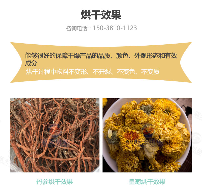 丹參網(wǎng)帶式烘干機(jī)烘干效果