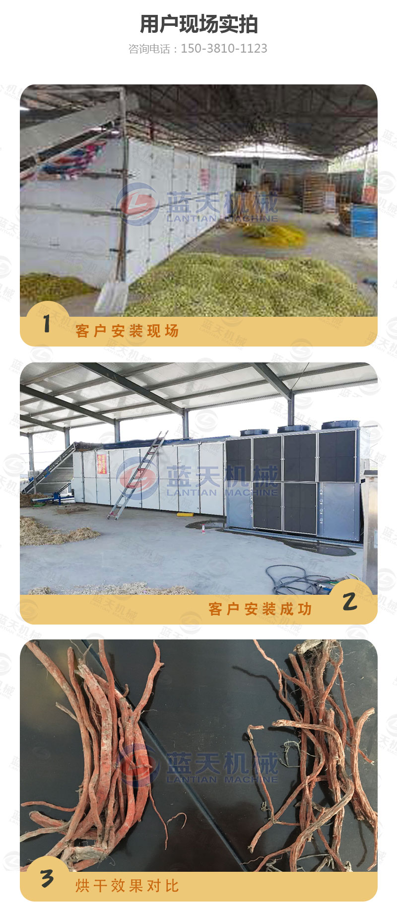 丹參網(wǎng)帶式烘干機(jī)用戶現(xiàn)場