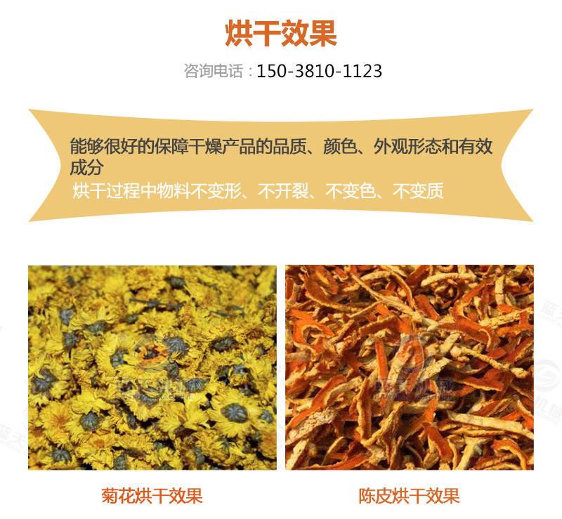 陳皮網(wǎng)帶式烘干機烘干效果
