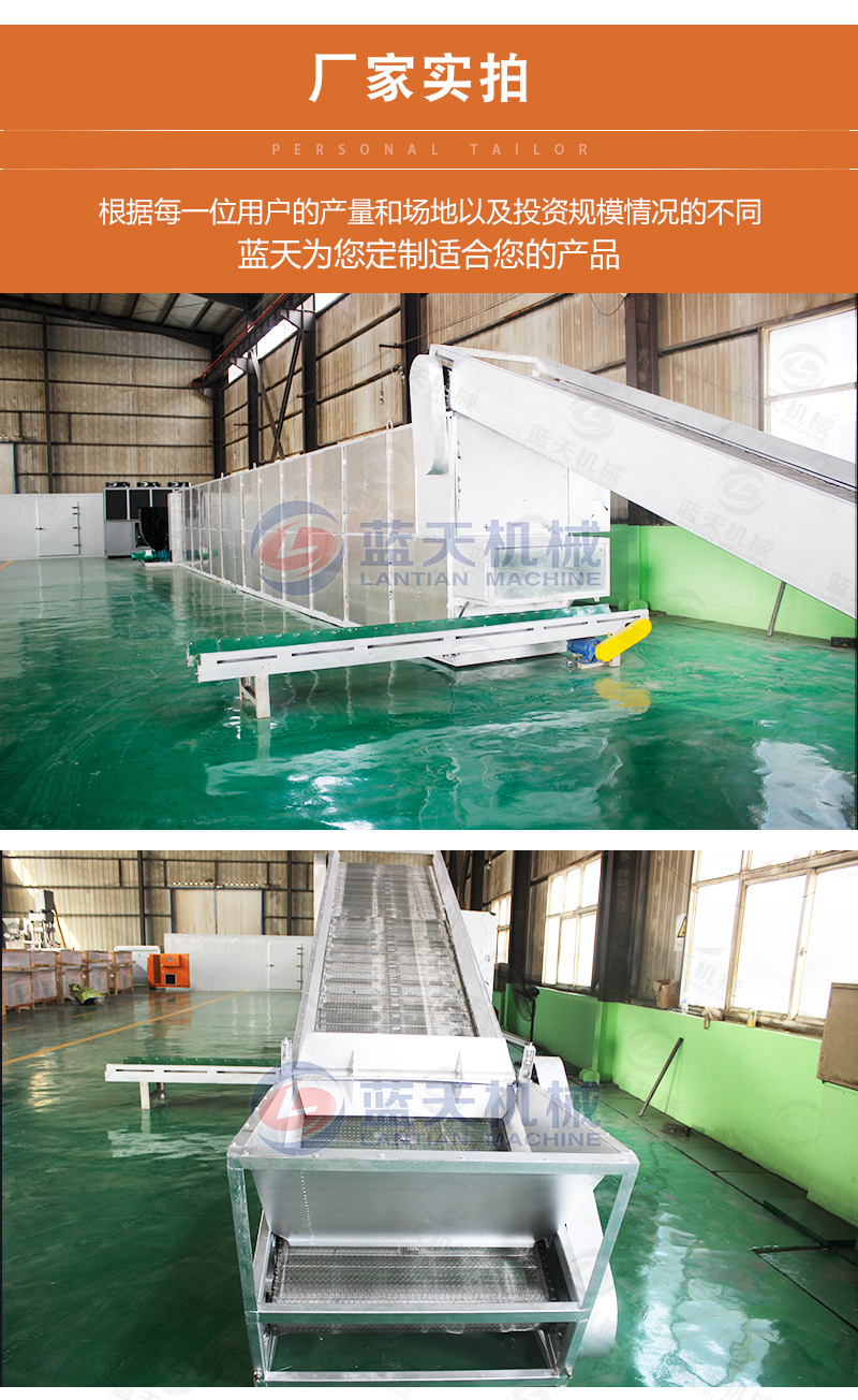 陳皮網(wǎng)帶式烘干機廠家實拍