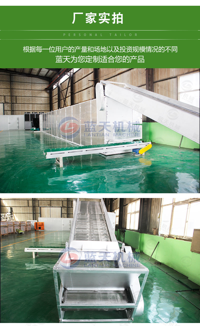 茶葉網(wǎng)帶式烘干機(jī)廠(chǎng)家實(shí)拍