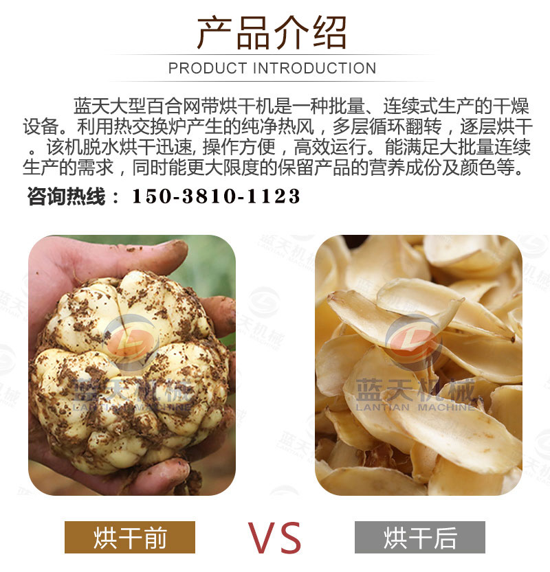 百合網(wǎng)帶式烘干機產(chǎn)品介紹