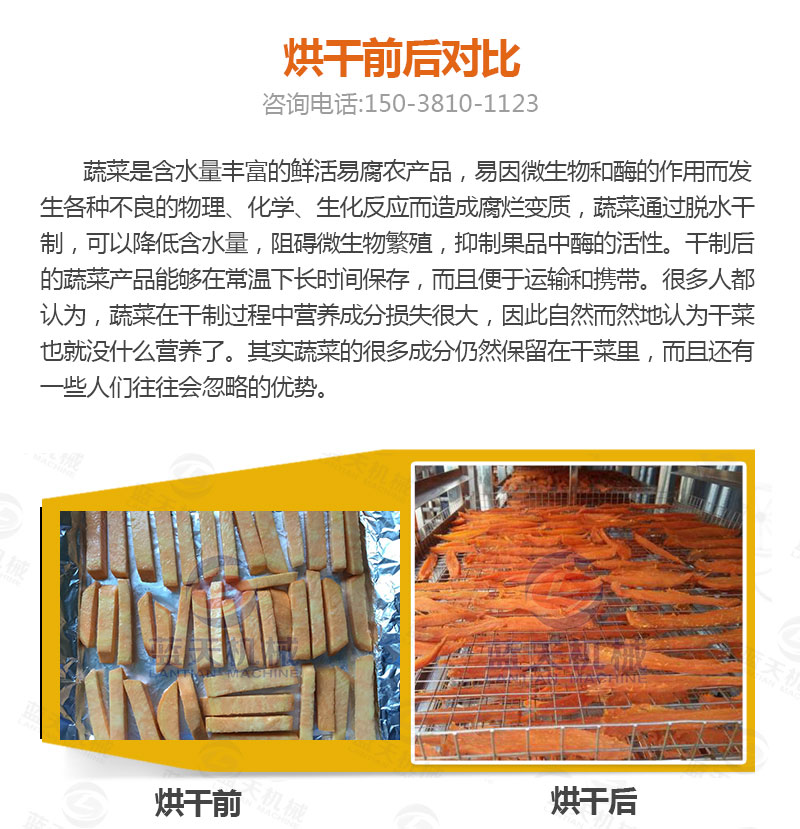 地瓜干網(wǎng)帶式烘干機(jī)烘干前后對比