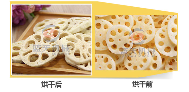 地瓜干網(wǎng)帶式烘干機(jī)烘干前后對比