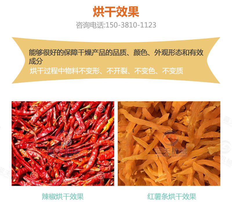 地瓜干網(wǎng)帶式烘干機(jī)烘干效果