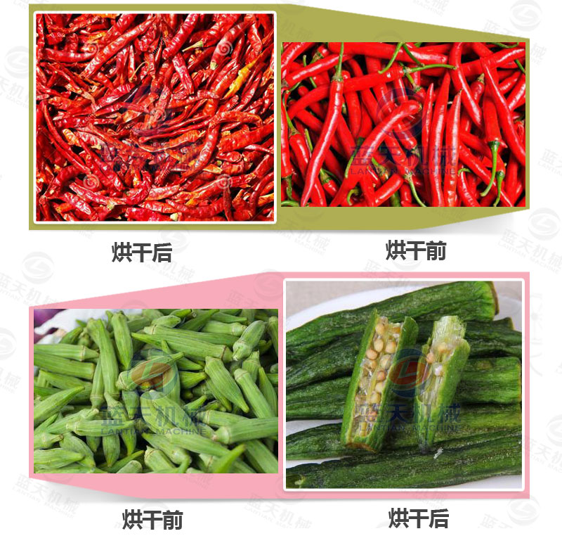 地瓜干網(wǎng)帶式烘干機(jī)烘干前后對比