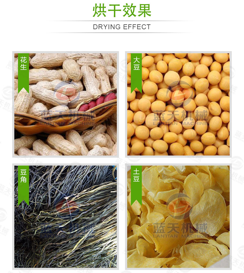 花生網(wǎng)帶式烘干機(jī)烘干效果